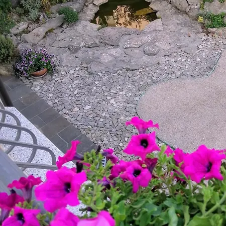 Appartamento Mandolina Zara