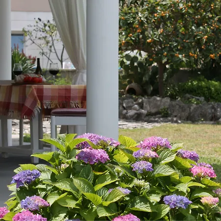 Mandolina Apartman *