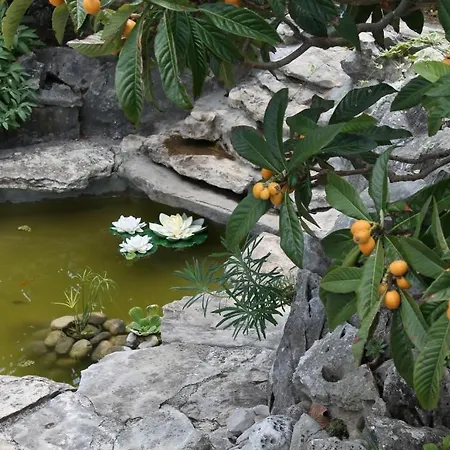 Mandolina Appartamento Zara