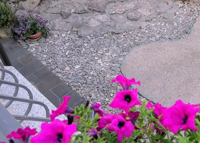 דירה Mandolina זאדאר