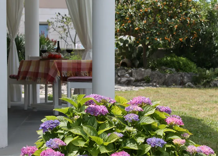 Mandolina דירה *