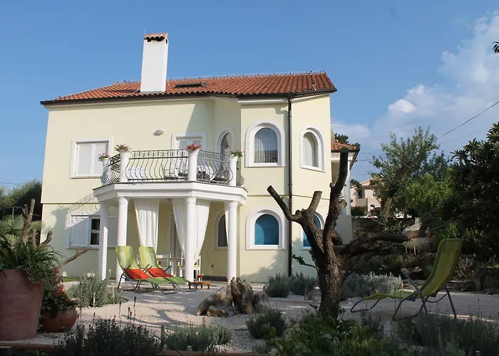 Mandolina * זאדאר