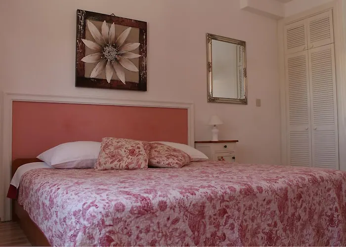 Mandolina זאדאר